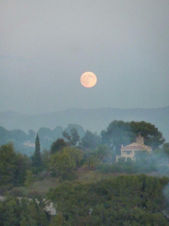 La Maison Aux Bonsais سان بول دي فينس المظهر الخارجي الصورة